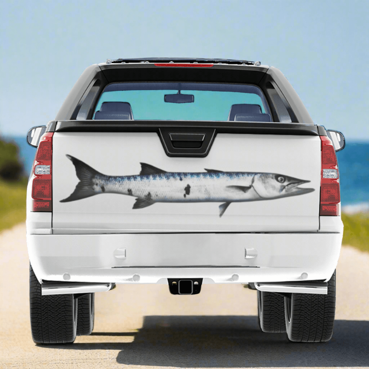 Barracuda large decal on a white truck, parked near the ocean.