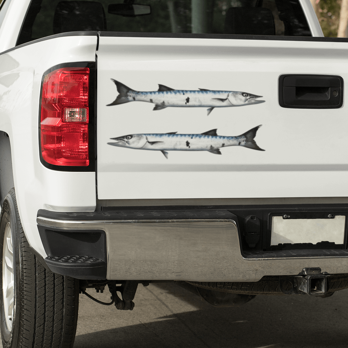 Barracuda decals on a pickup truck.