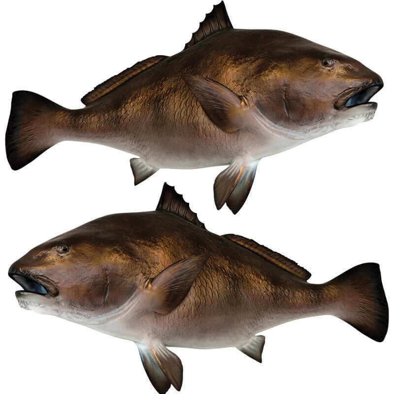 Customizable Black Drum fishing wall decals, 40"-70", removable & perfect for enthusiasts. Add text, up to 10 lines!