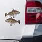 Black Drum stickers on a truck.