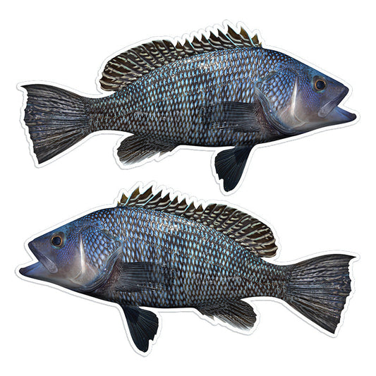 Black SeaBass 14 inch stickers left and right facing.