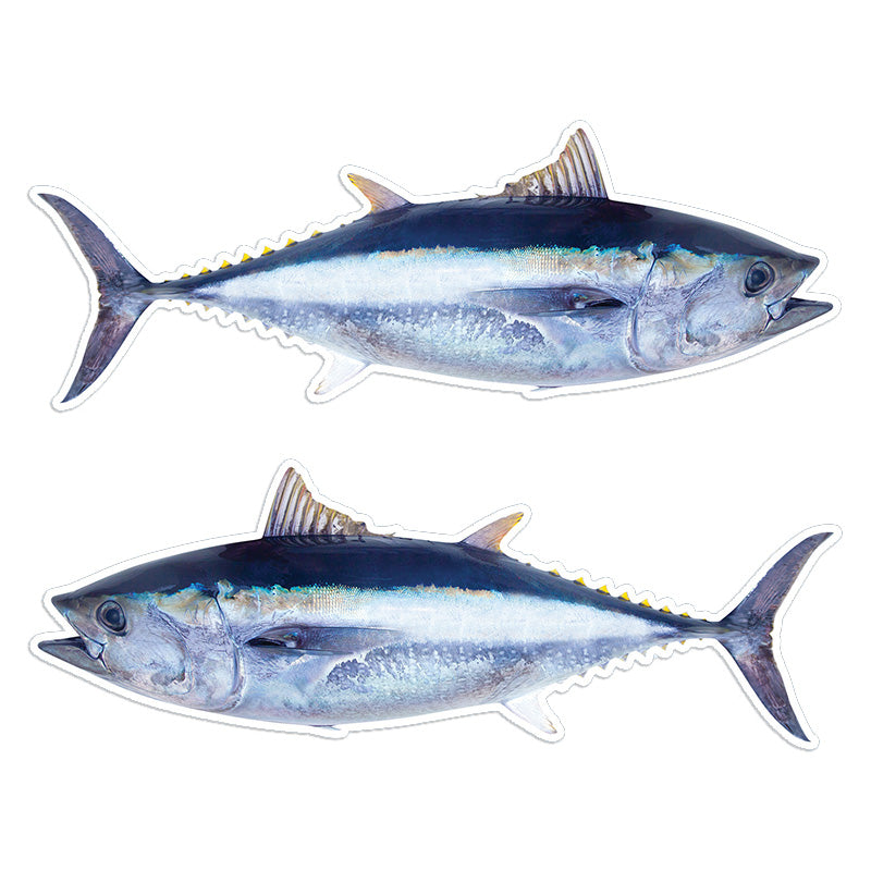 Bluefin Tuna 14 inch stickers left and right facing.