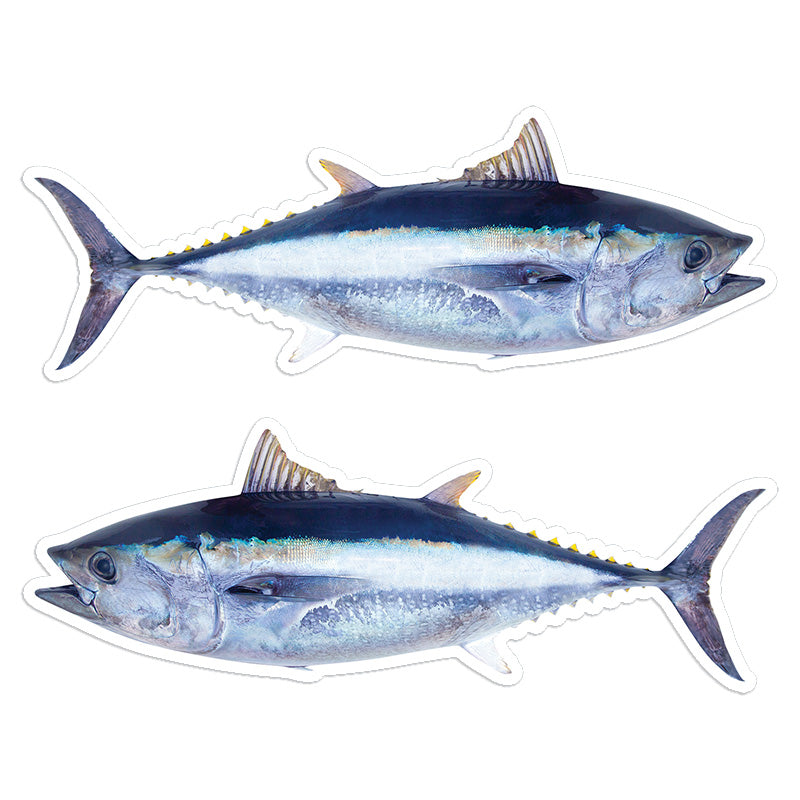 Bluefin Tuna 8 inch stickers left and right facing.