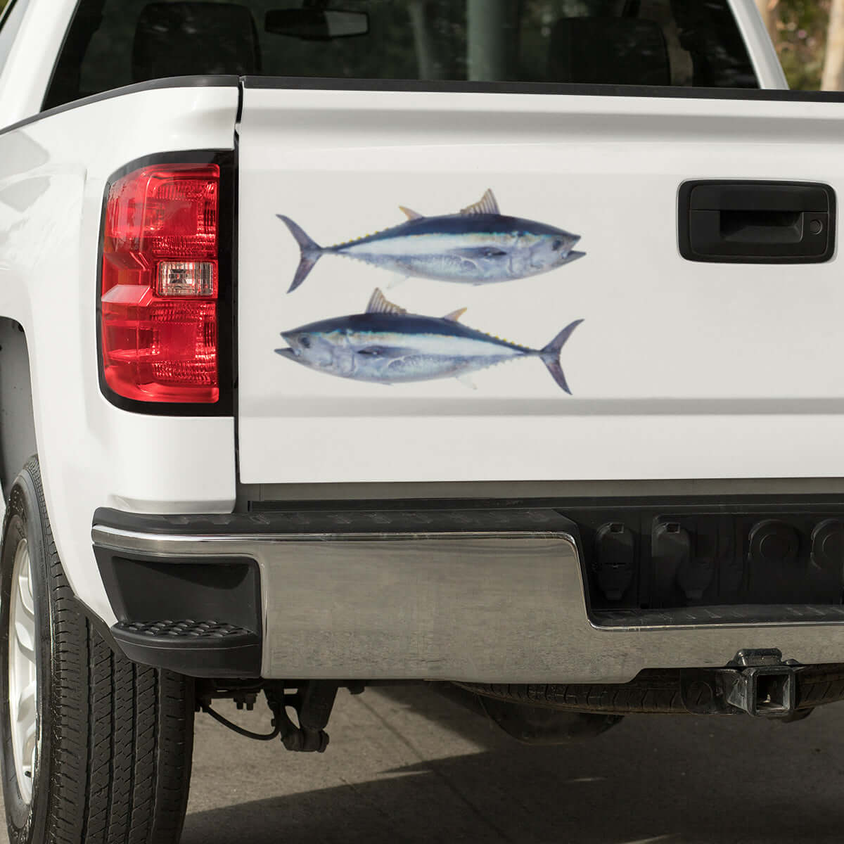 Large Bluefin Tuna decals on a truck.