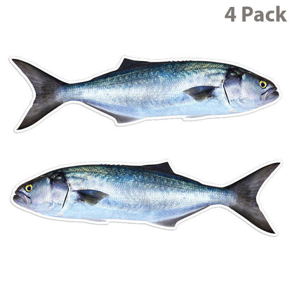 Bluefish 14 inch 4 sticker pack.