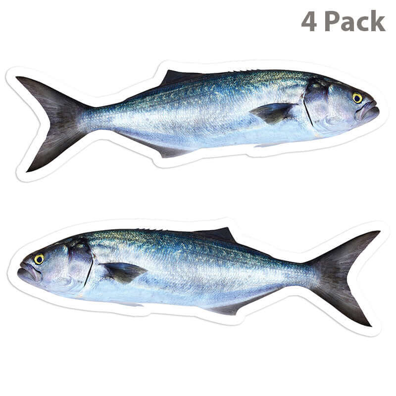 Bluefish 5 inch 4 sticker pack.