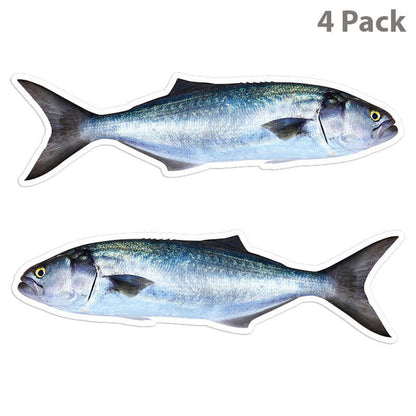 Bluefish 8 inch 4 sticker pack.