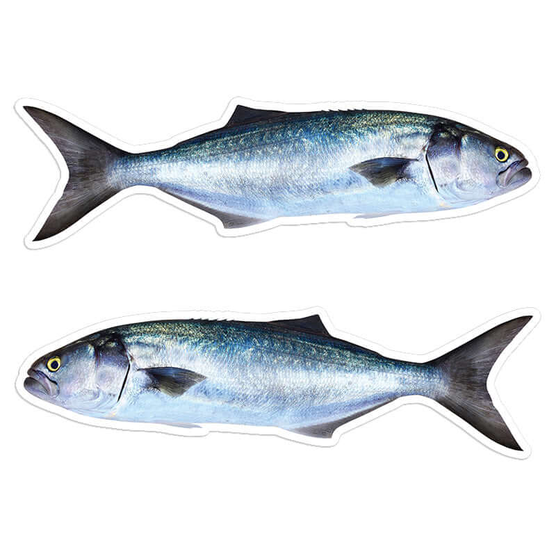 Bluefish - Stickers, Decals