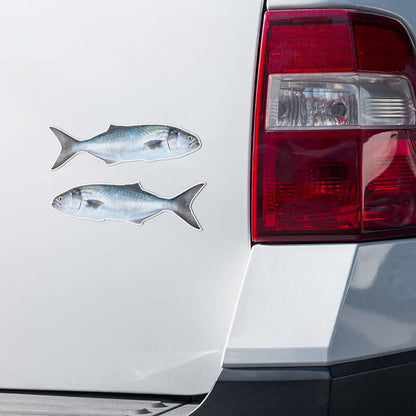 Bluefish stickers on a truck.