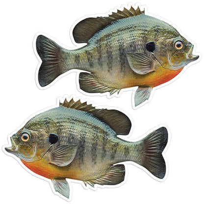 Bluegill - Stickers, Decals