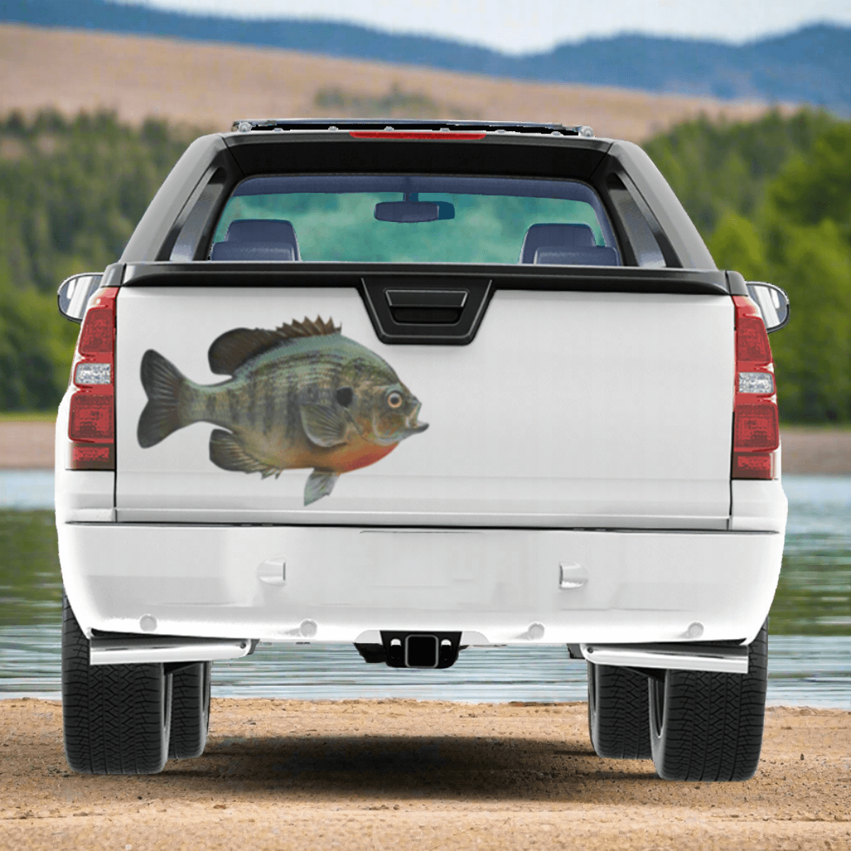 Large Bluegill decal on a truck near a river.