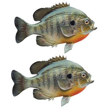 Bluegill Sunfish wall decals in left and right facing options, removable 40"-70" fish wall stickers