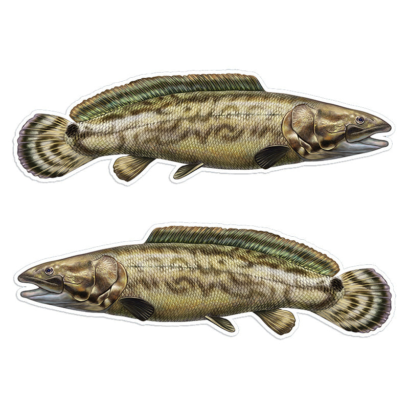 Bowfin 14 inch stickers left and right facing.
