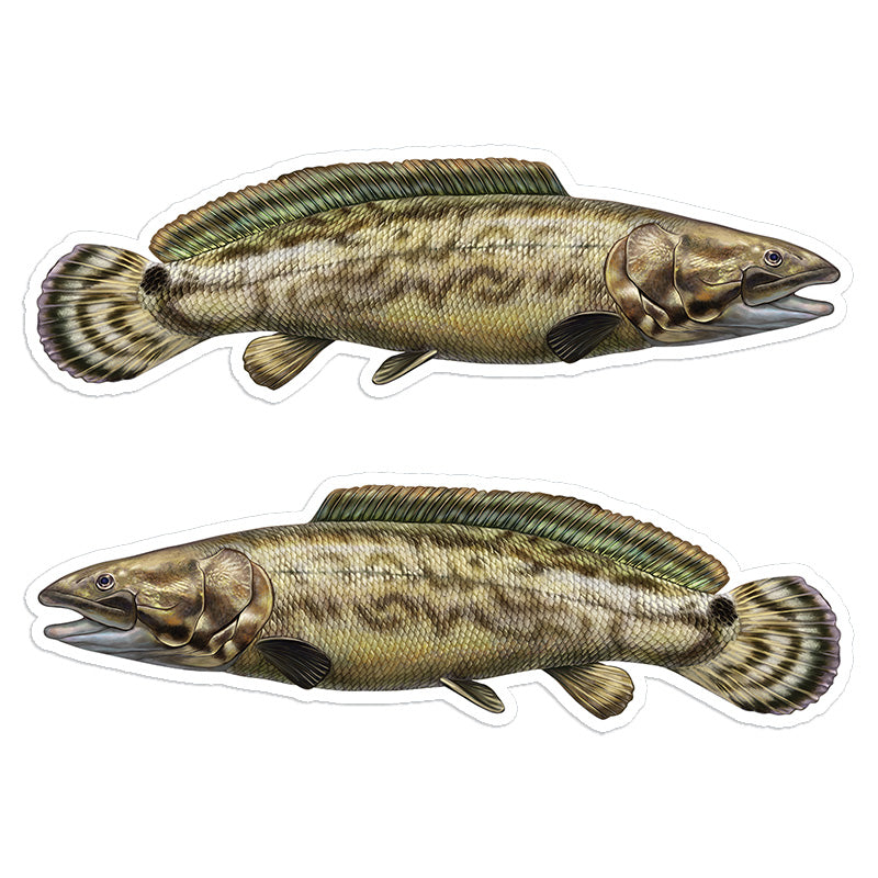 Bowfin 8 inch stickers left and right facing.