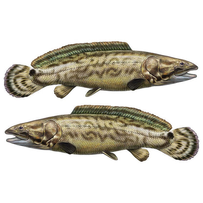 Bowfin fish wall decals in pairs, removable and customizable, perfect for any fishing enthusiast’s room or decor.