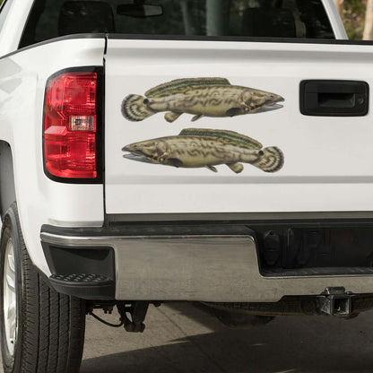 Large Bowfin decal on a pickup truck.