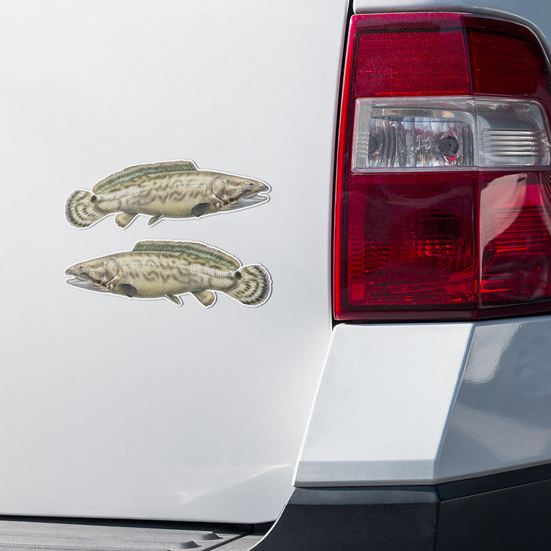 Bowfin stickers on a truck.