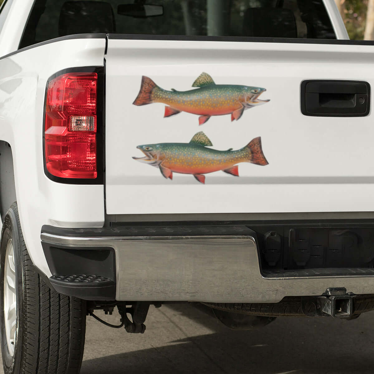 Large Brook Trout decals on a pickup truck.