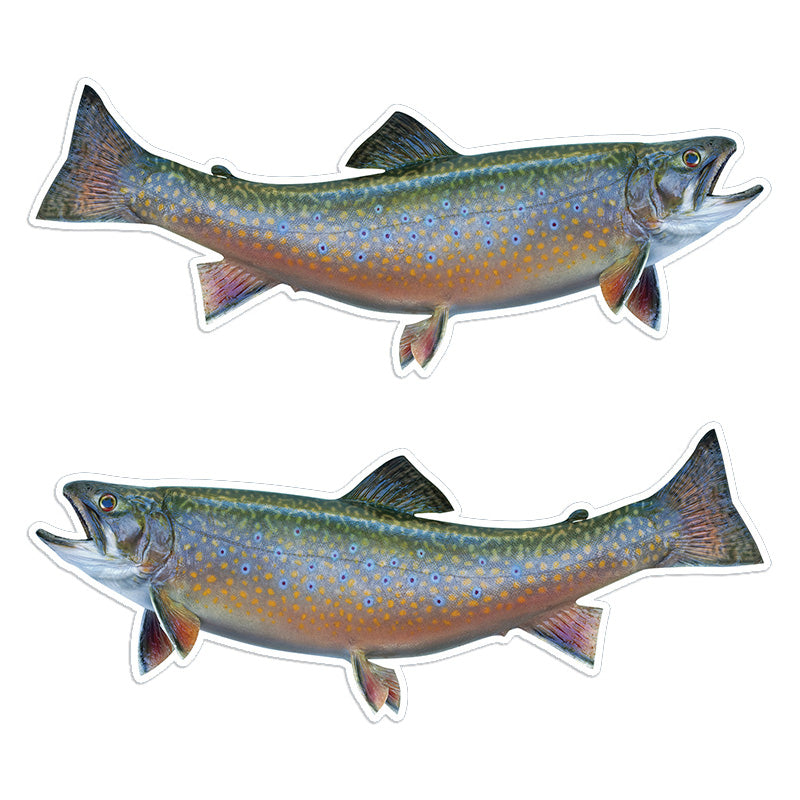 Brook Trout 14 inch stickers left and right facing.