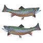 Brook Trout 8 inch stickers left and right facing.