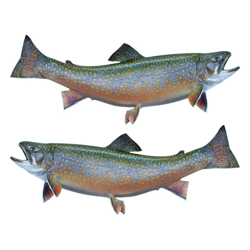 Brook Trout fish wall decals left and right facing, removable and customizable.