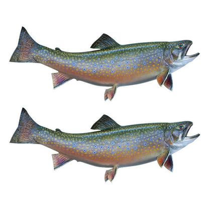 Brook Trout fish wall decals, removable and customizable, perfect for bedroom decor.