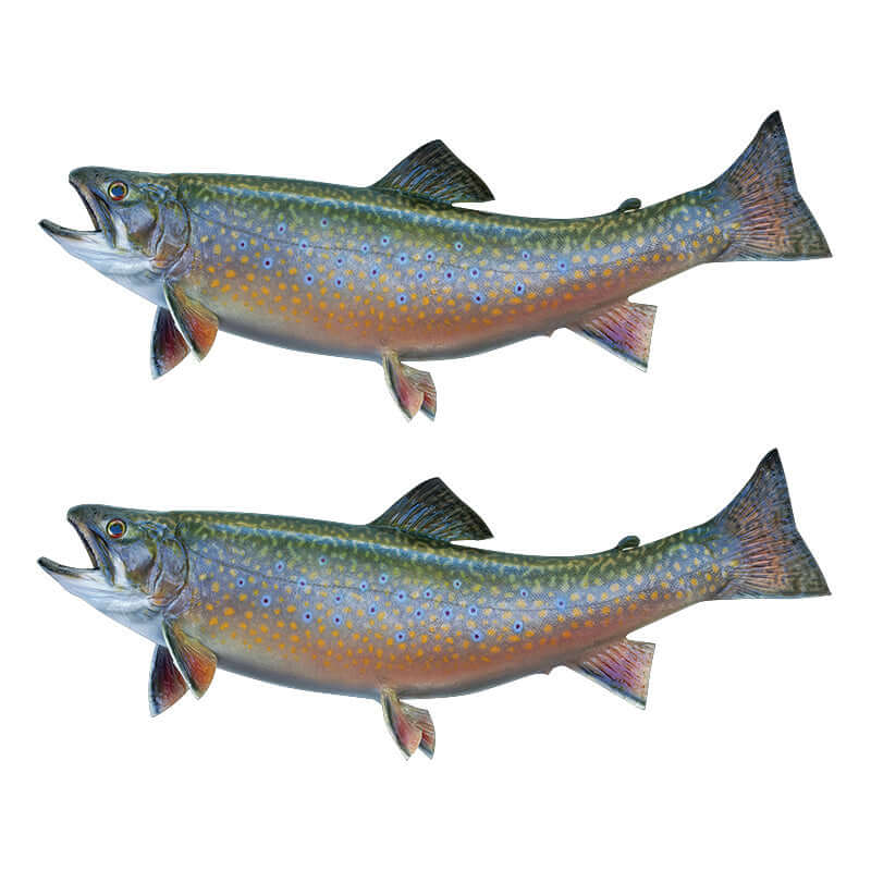 Two Brook Trout fish wall decals facing opposite directions.