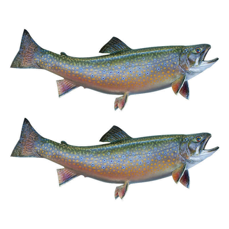 Brook Trout Decals