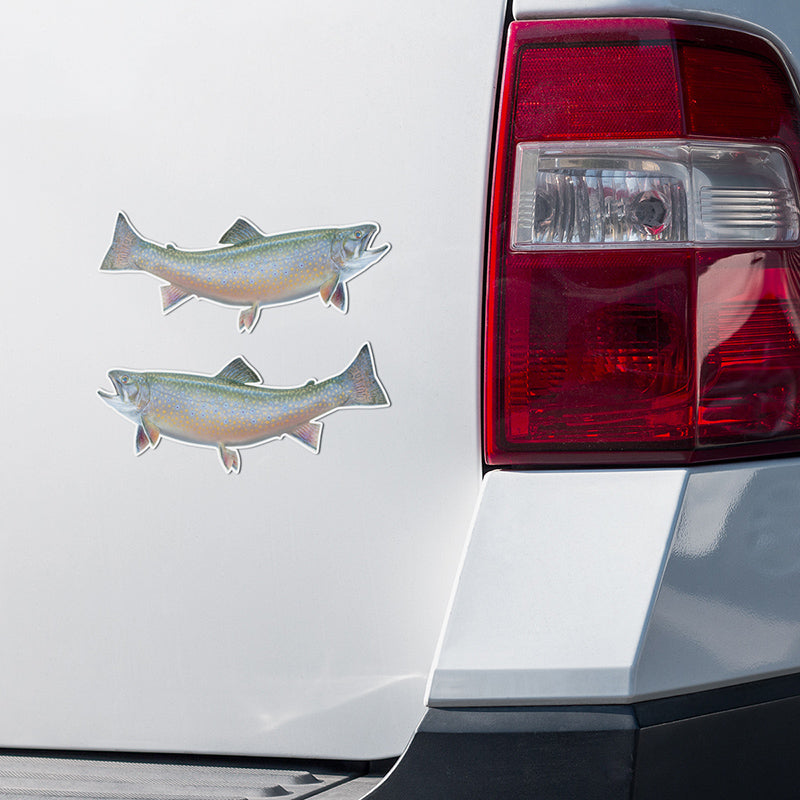 Brook Trout stickers on a truck.