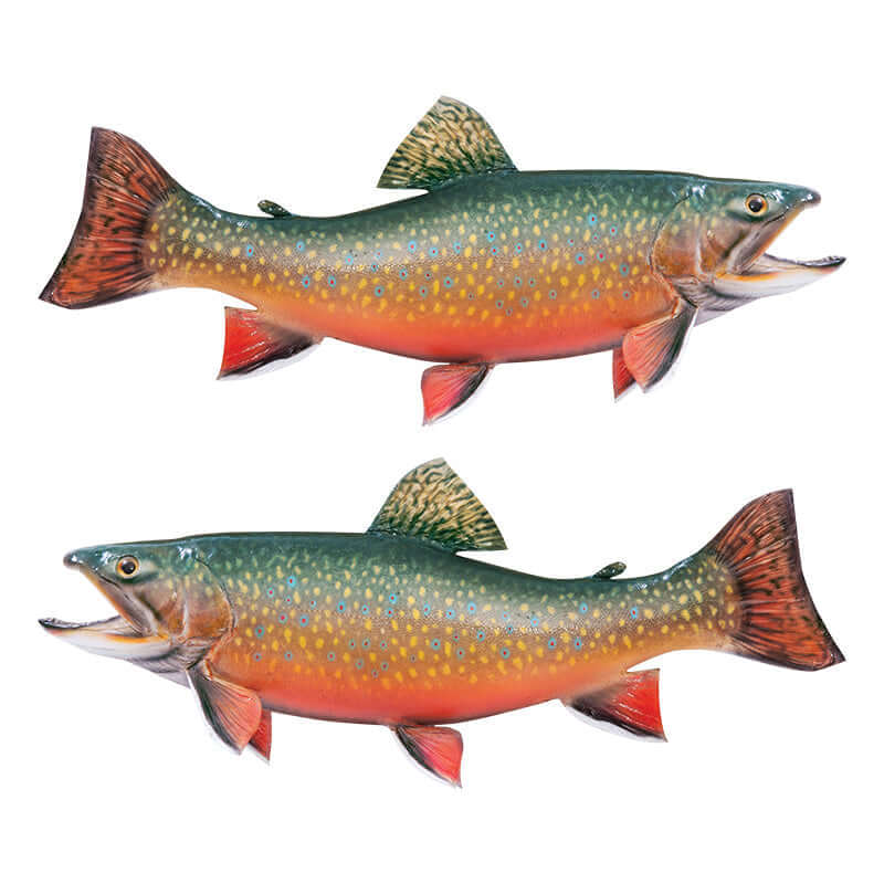 Brook Trout fish wall decals available in 40"-70" sizes, shown facing left and right. Perfect for bedroom fishing enthusiasts.