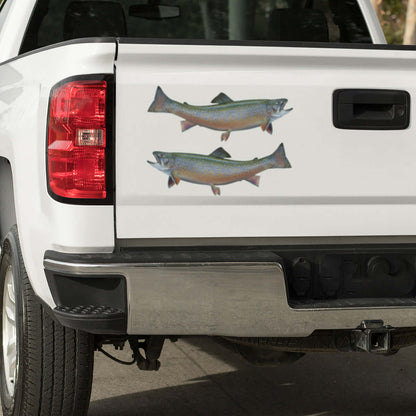 Brook Trout large decals on a Truck.