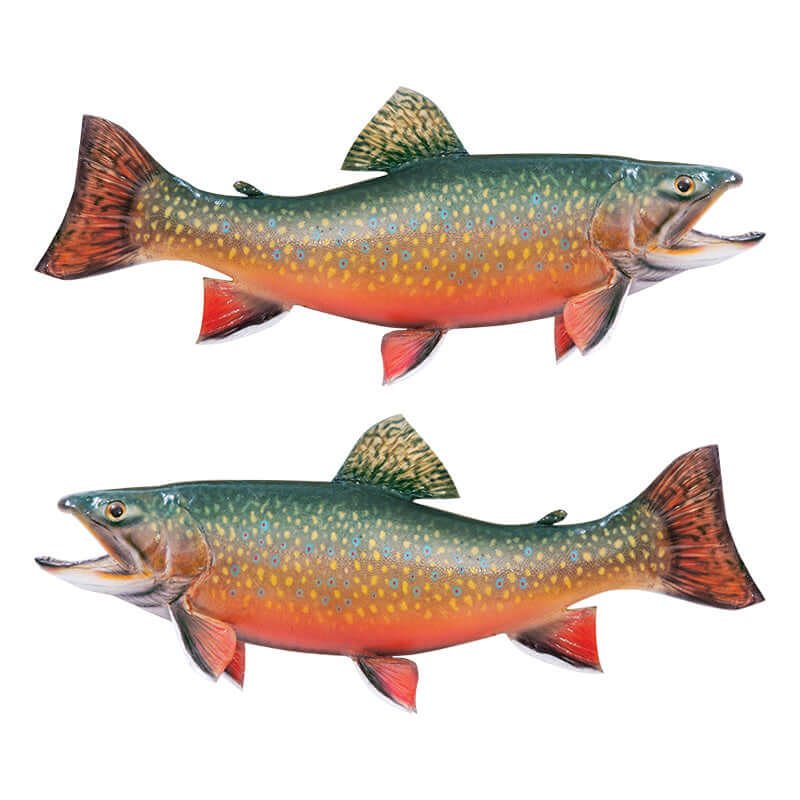 Brook Trout large decals left and right facing.