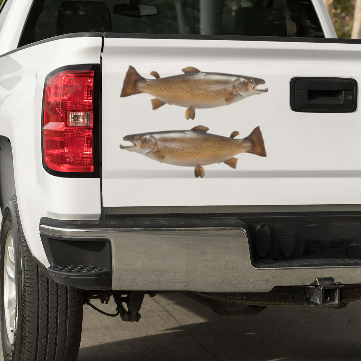 Large Brown Trout decals on a truck.