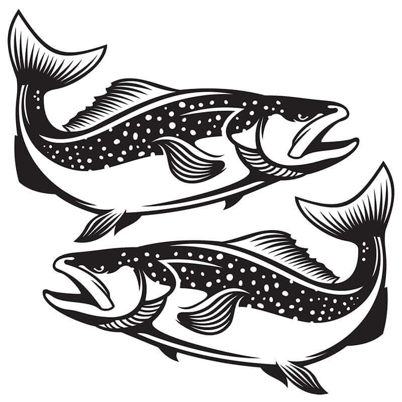 Customizable Brown Trout decals in black and white, available in sizes 14"-70". Perfect fish stickers for boats or cars.