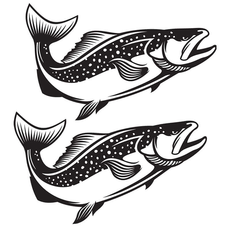 Two brown trout fish wall decals in black, perfect for fishing enthusiasts.