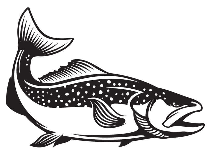 Brown trout fish wall decal in black and white, perfect for fishing enthusiasts.