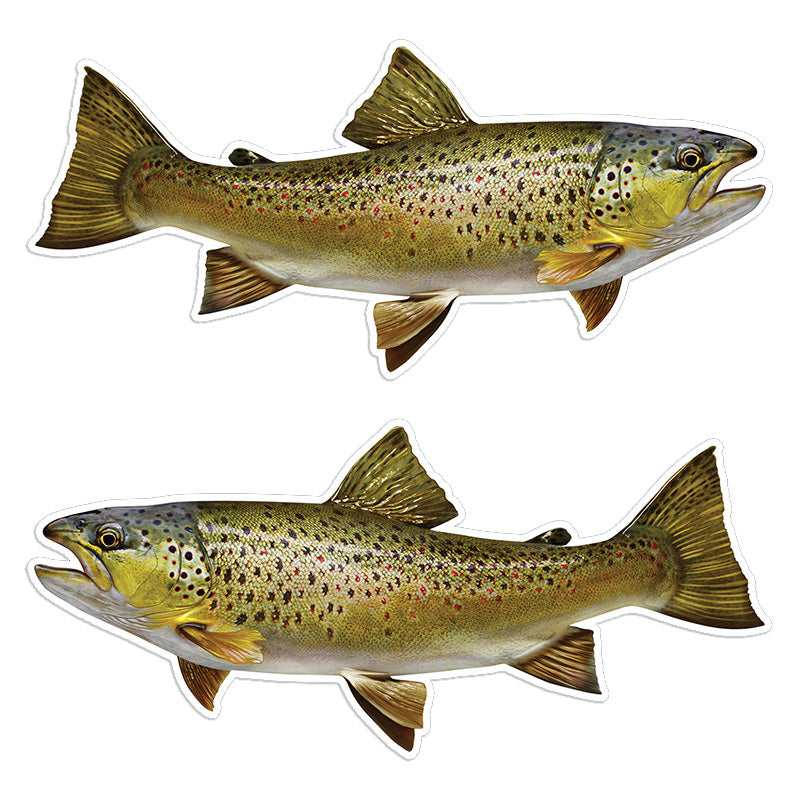 Brown Trout 14 inch stickers left and right facing.