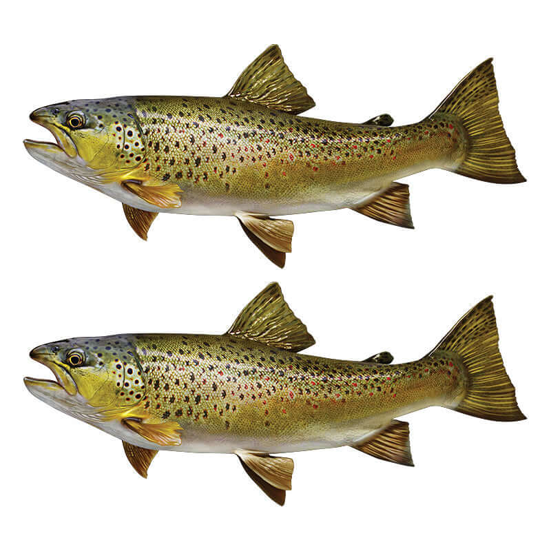 Brown Trout Wall Decals