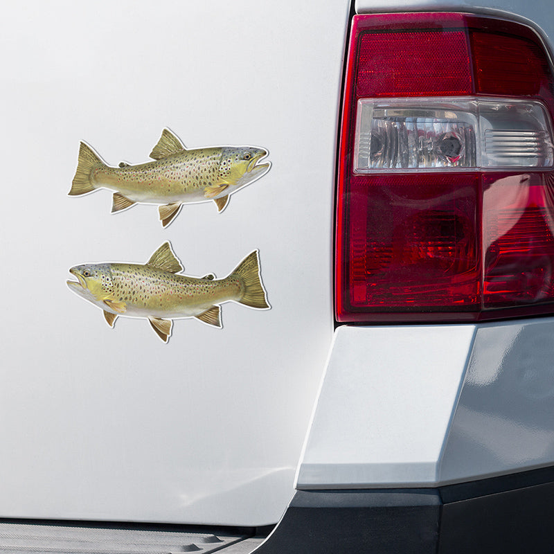 Brown Trout stickers on a truck.