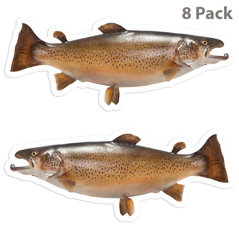 Brown Trout 5 inch 8 sticker pack.