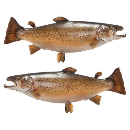 Brown Trout fish wall decals variety with removable options and customizable text choices.