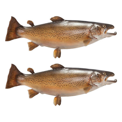 Brown trout fish wall decals, removable and non-damaging, ideal for fishing enthusiasts.