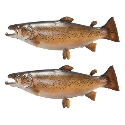 Brown Trout fish wall decals in left and right facing positions, removable and customizable, perfect for fish enthusiasts.