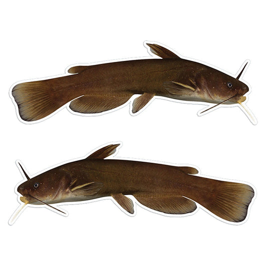 Bullhead Catfish 14 inch stickers left and right facing.