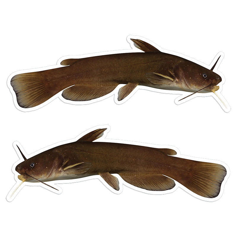 Bullhead Catfish 8 inch stickers left and right facing.
