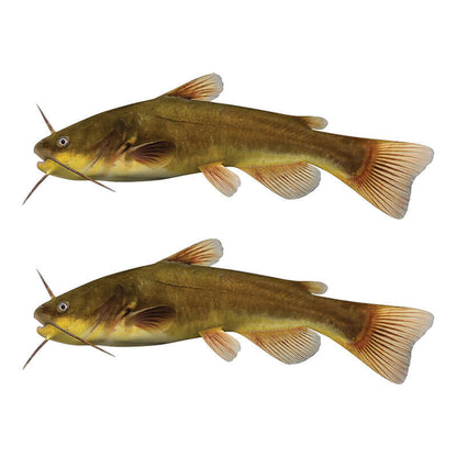 Black bullhead catfish wall decals with right and left facing options