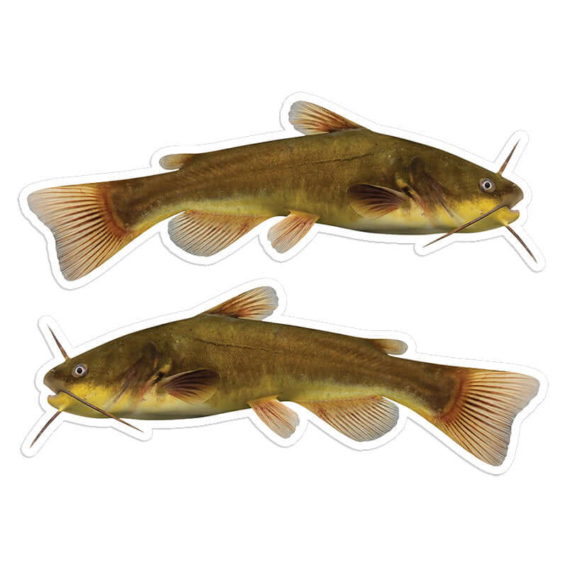 Bullhead Catfish - Stickers, Decals