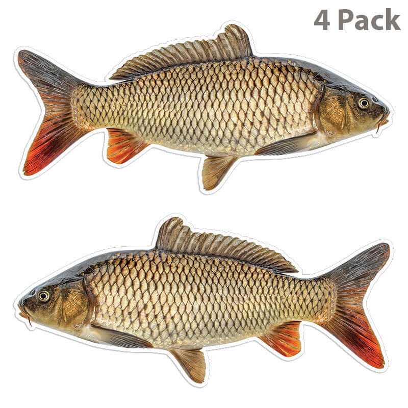 Carp 14 inch 4 sticker pack.