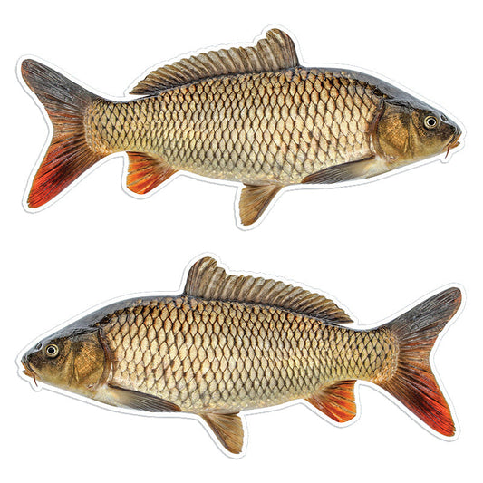 Carp 14 inch stickers left and right facing.
