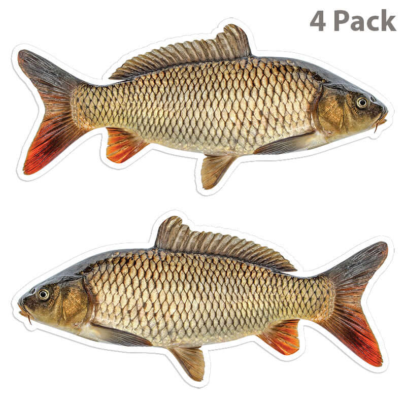 Carp 8 inch 4 sticker pack.